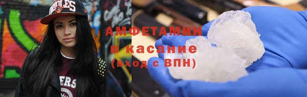 шишки Аркадак
