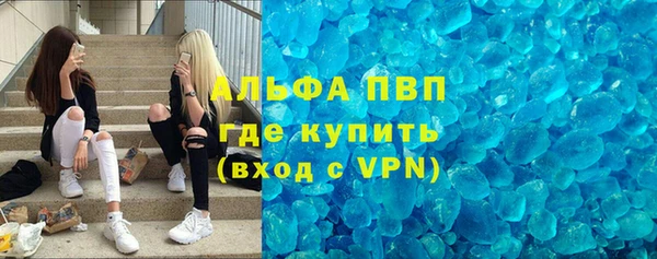 шишки Аркадак