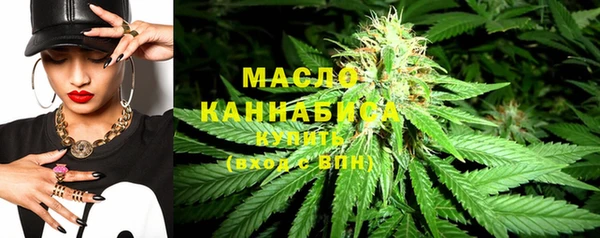 шишки Аркадак