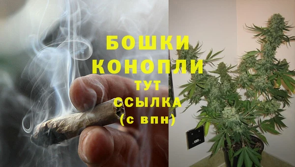 шишки Аркадак