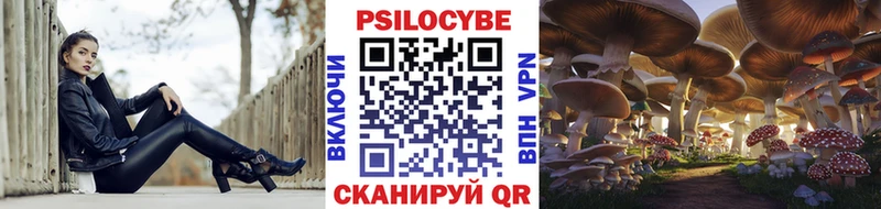 Псилоцибиновые грибы Cubensis  сколько стоит  Сальск 
